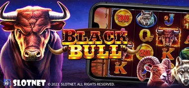 블랙-불-_Black-Bull_