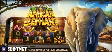아프리칸-엘리펀트-_African-Elephant_
